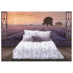 Постельное белье 2-спальное Sova & Javoronok Французский шарм 70х70 см, перкаль белый/серый