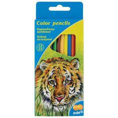 Kite цветные карандаши Животные, 24 цвета (K15-054)