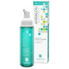 Andalou Naturals очищающая пенка для лица с экстрактами кактуса, 163 мл