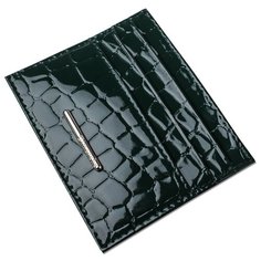 Кредитница Dimanche 93095, зеленый