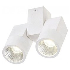 Спот Citilux Дубль CL556100