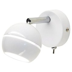 Спот Citilux Раймонд CL555510