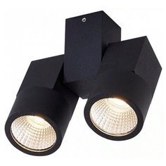 Спот Citilux Дубль CL556102