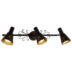 Спот Citilux Дункан CL529531