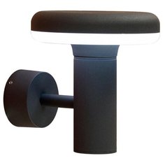 Citilux Светильник настенный CLU01W