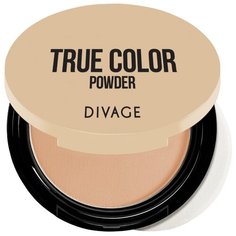 DIVAGE True Color пудра компактная 06