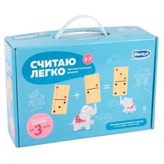 Обучающий набор Умница Считаю легко. Математическое домино по методике Чаплыгина