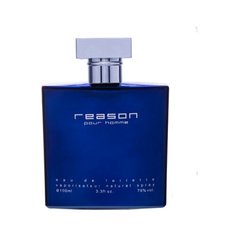 Туалетная вода PontiParfum Reason pour Homme, 100 мл