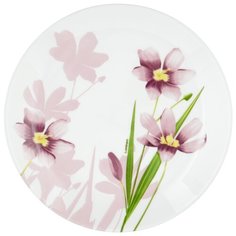 Luminarc Тарелка десертная Dream grass 19 см N9686 белый/цветы