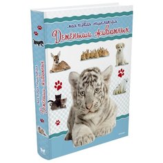 Коэ Н. "Моя первая энциклопедия. Детёныши животных" Machaon