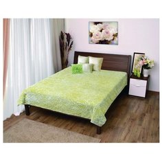 Плед Мягкий сон Veroni, 160 х 200 см (ПФ-160-18) зеленый