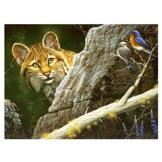 Color Kit Картина по номерам "Рысь" 30х40 см (KS032)