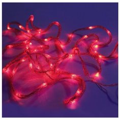 Гирлянда Sh Lights Змейка, 650 см, LD048R-WB, 48 ламп