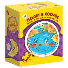 Набор рамок-вкладышей Дрофа-Медиа ДСМ Полет в космос (2670)