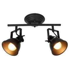 Спот Silver Light Bastille 310.32.2