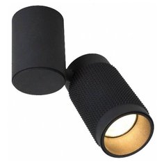 Спот Favourite Kinescope 2452-1U
