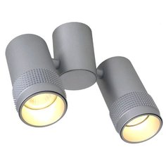 Спот Favourite Kinescope 2454-2U
