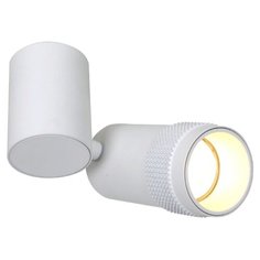 Спот Favourite Kinescope 2453-1U