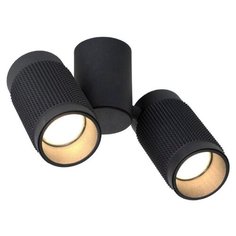 Спот Favourite Kinescope 2452-2U