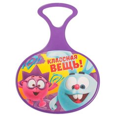 Ледянка Сима-ленд Смешарики Классная вещь! Крош и Ежик (2587098) фиолетовый