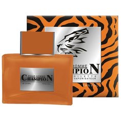 Туалетная вода КПК-Парфюм Champion, 100 мл