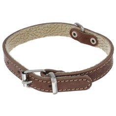 Ошейник Аркон Стандарт (о16п) 26-34 см коньячный