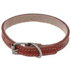 Ошейник Аркон Стандарт (о14п) 22-29 см красный