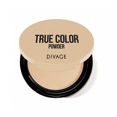 DIVAGE True Color пудра компактная 01