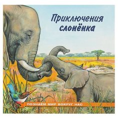 Гурина И.В. "Познаем мир вокруг нас. Приключения слонёнка" Flamingo