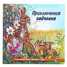Гурина И.В. "Познаем мир вокруг нас. Приключения зайчонка" Flamingo