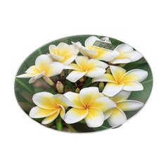 Весы Home Element HE-SC908 Белые плюмерии