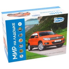 Набор карточек Умница Мир на ладошке. Выпуск 4 18x10 см 144 шт.