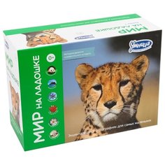 Набор карточек Умница Мир на ладошке. Выпуск 1 18x10 см 144 шт.