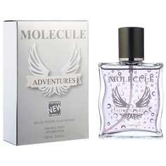 Туалетная вода Парфюмерия XXI века Molecule Adventures, 100 мл
