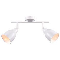 Спот РОССвет Графика РС20788 WT/2C