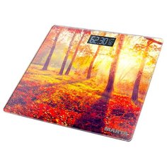 Весы Marta MT-1676 Осенний лес