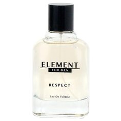 Туалетная вода Festiva Element Respect, 100 мл