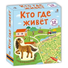 Настольная игра Робинс Кто где живёт