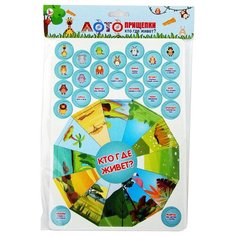 Настольная игра Ракета Прищепки. Кто где живет?