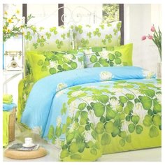 Постельное белье 1.5-спальное СайлиД B-76, сатин голубой/зеленый