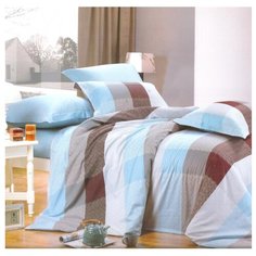 Постельное белье семейное СайлиД B-103, сатин голубой / коричневый