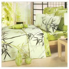 Постельное белье 1.5-спальное СайлиД B-53, сатин зеленый