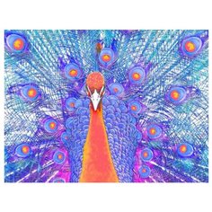 Color Kit Картина по номерам "Павлин" 30х40 см (KS039)