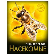 Энциклопедия. Хочу знать. Насекомые Проф Пресс