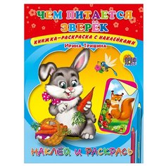 Проф-Пресс Раскраска с наклейками. Чем питается зверек