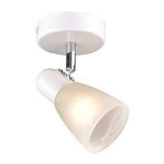 Спот РОССвет Модуль РС20723 WT+CR/1W