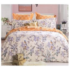 Постельное белье евростандарт СайлиД B-160, сатин бежевый/оранжевый