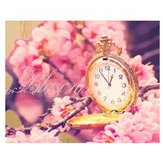 Color Kit Картина по номерам "Время цветения сакуры" 40х50 см (DER014)