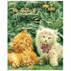 Color Kit Картина по номерам "Пушистые милашки" 40х50 см (CG866)