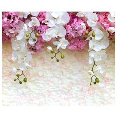 Фотообои флизелиновые Design Studio 3D Ниспадающие орxидеи 3х2.5м Ниспадающие орxидеи